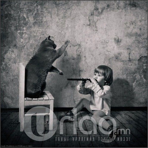  photo little_girl_and_tomcat_by_andy_prokh_5_zps40802546.jpg