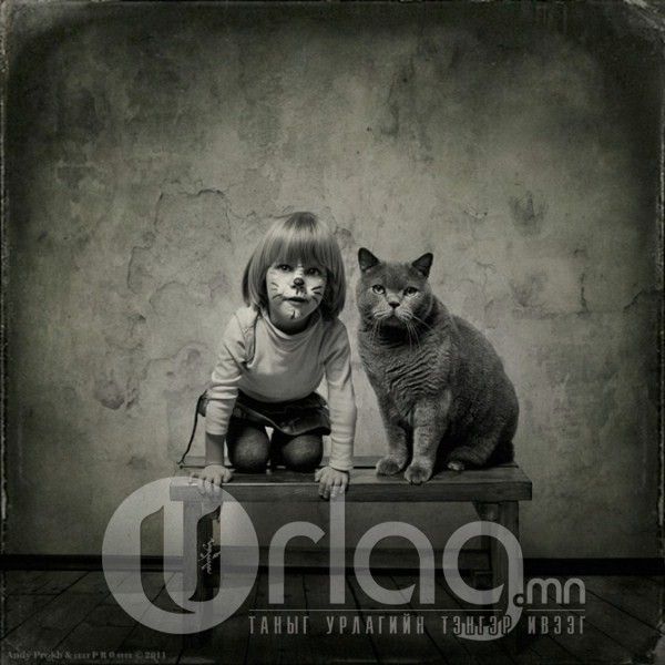  photo little_girl_and_tomcat_by_andy_prokh_6_zps88a63a46.jpg
