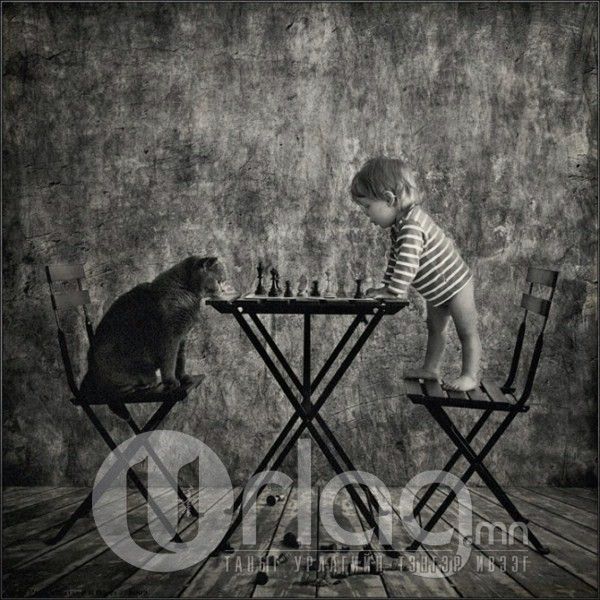  photo little_girl_and_tomcat_by_andy_prokh_8_zps72b57057.jpg