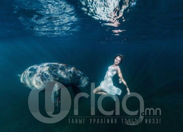  photo underwater_photoshoot_13_zpsf5a6e1cb.jpg