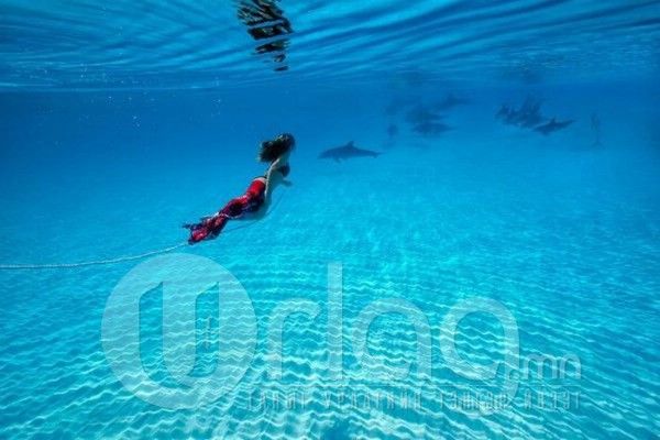  photo underwater_photoshoot_41_zps396ab84d.jpg