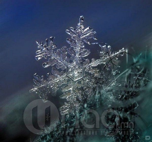  photo 1259825953_beautiful_snowflakes_14_zps27547a5f.jpg