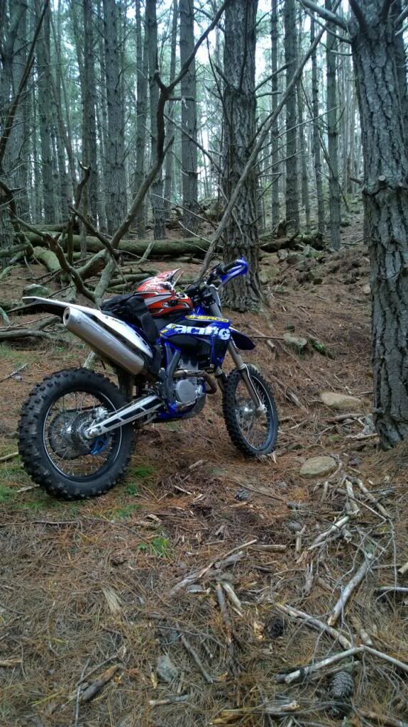 sherco1_zpse74869a6.jpg