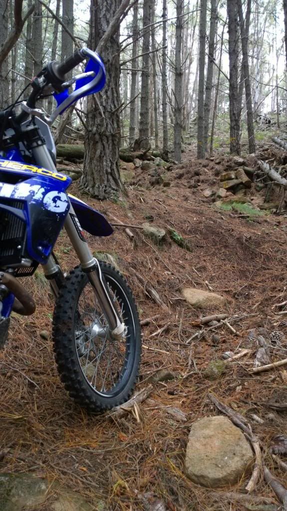 sherco2_zpsd39151aa.jpg