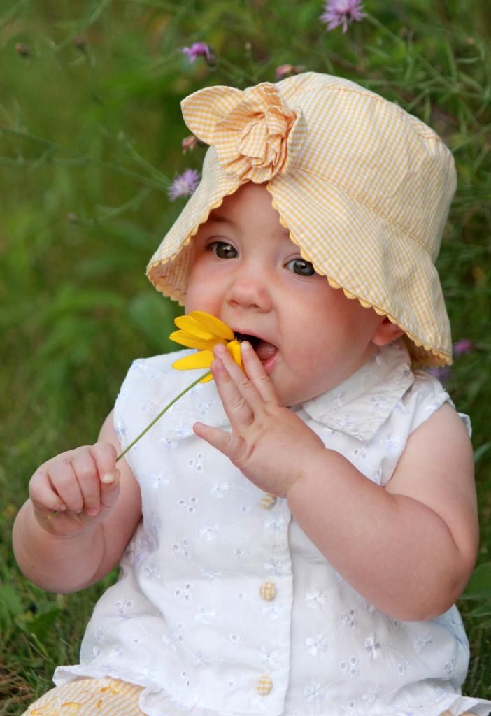  photo Flower-eating_7995_zpsc4ae665e.jpg