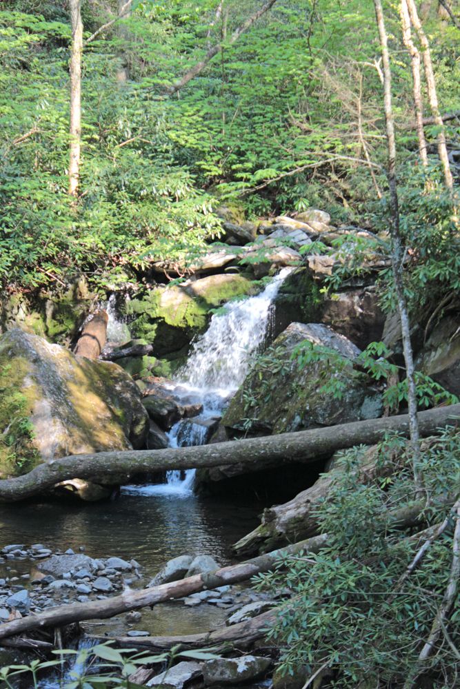 photo Lower-Grotto-Falls_zpsc111b8c9.jpg