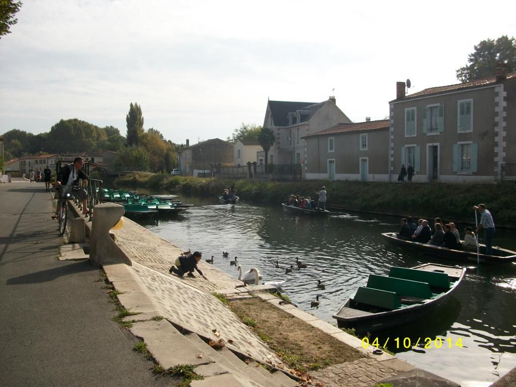 Coulon photo IMGP2988_zps8e3d9be1.jpg