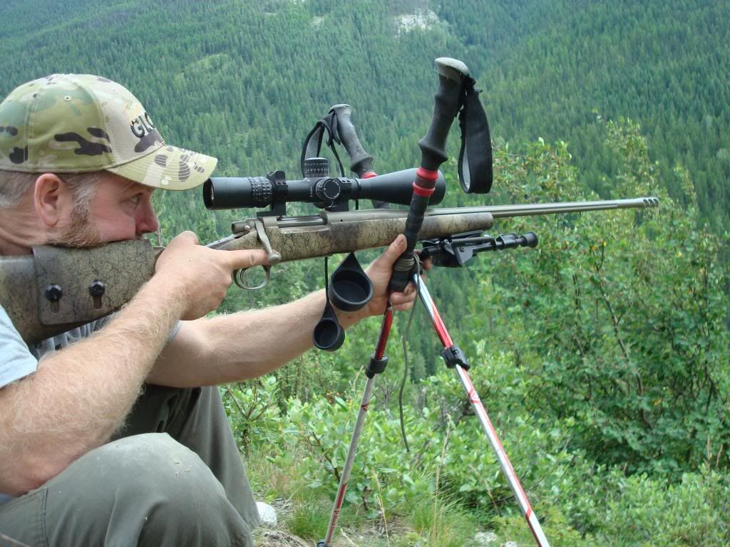 trekking pole shooting stick