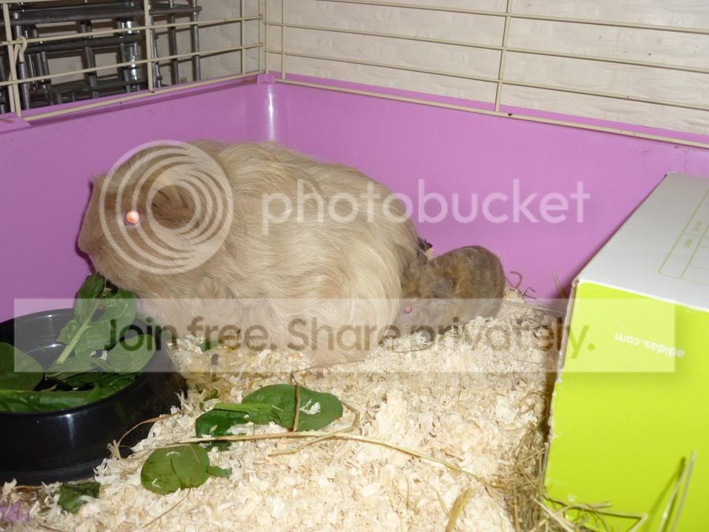 Jan13172_zpse429f437.jpg