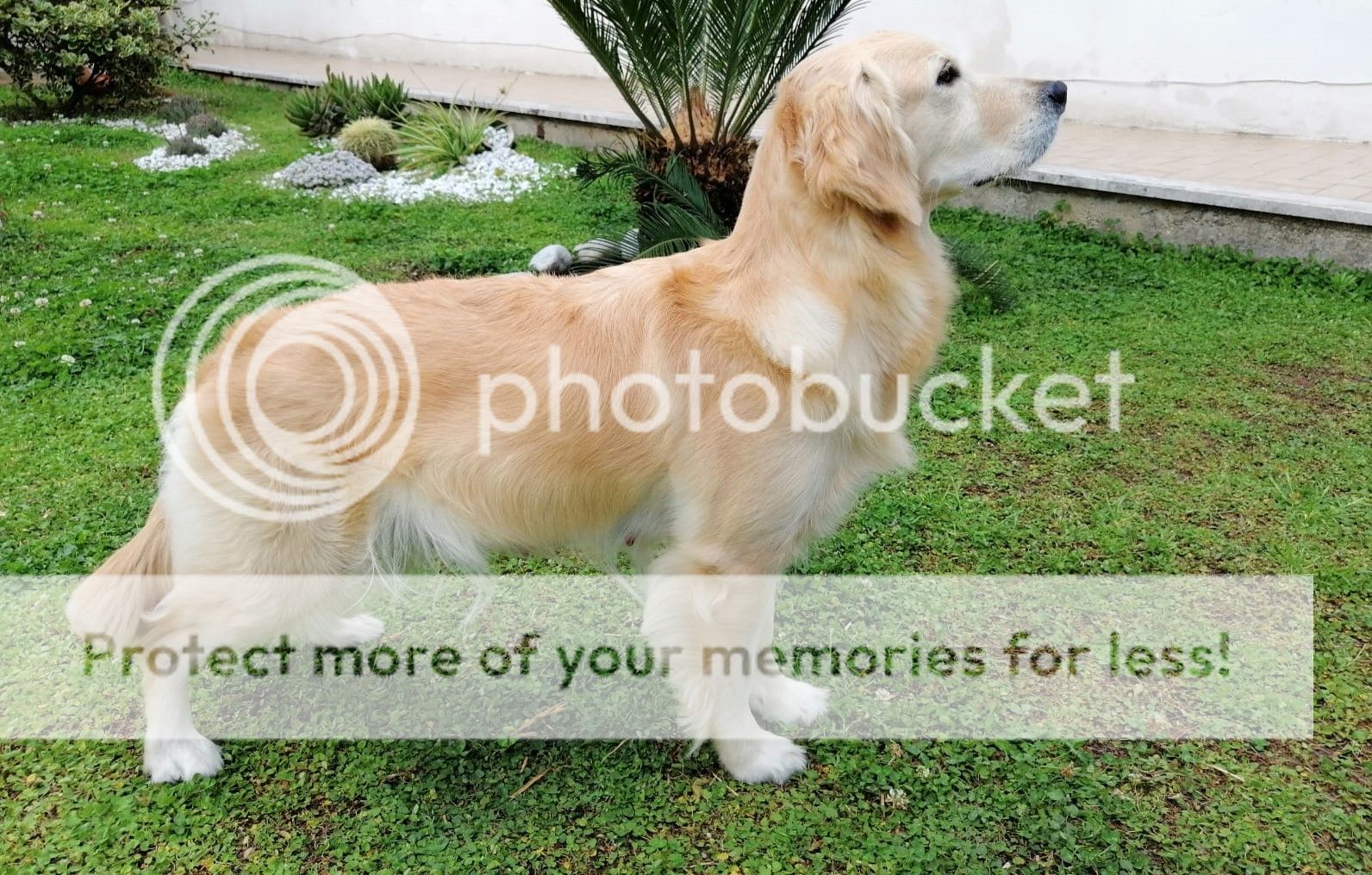 Photobucket - Video and Image Hosting