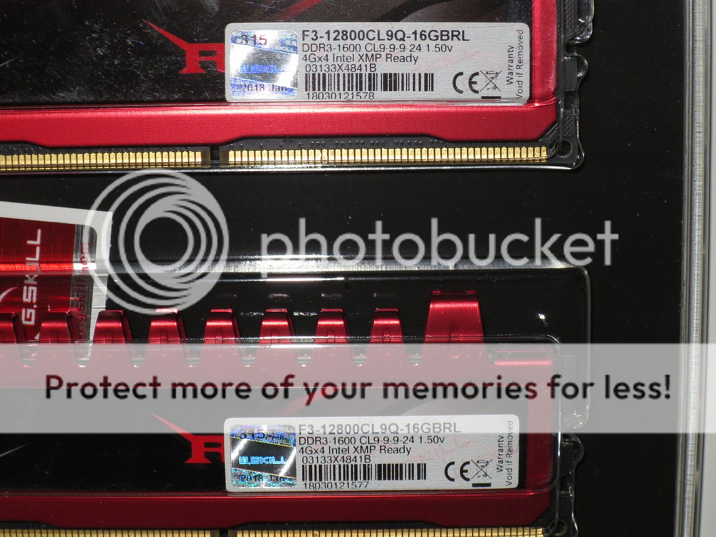  photo IMG_3321_zpstqsdwvez.jpg